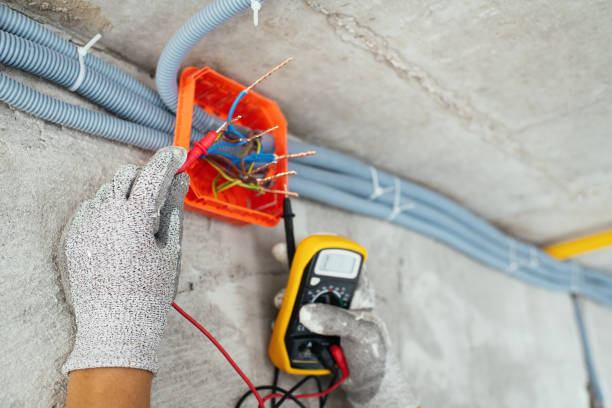 Best Home Electrical Repair  in Fruitland, IA