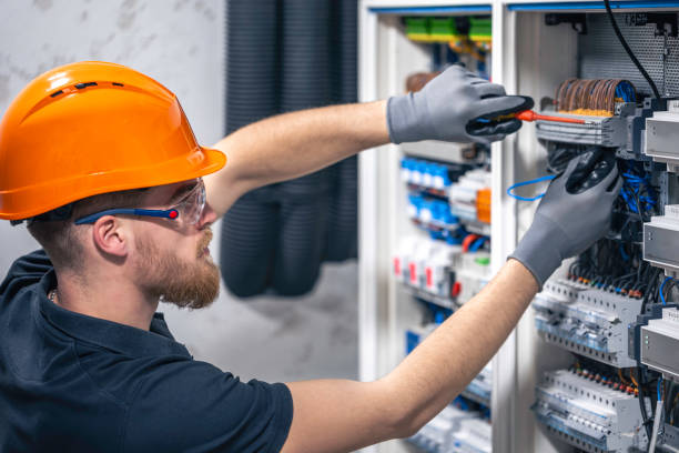 Best Home Electrical Repair  in Fruitland, IA