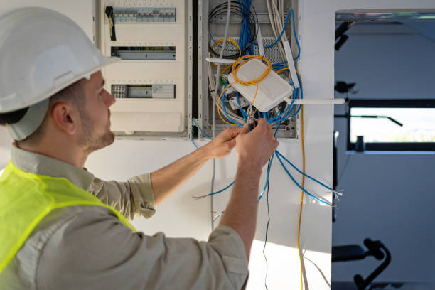 Best Industrial Electrical Services  in Fruitland, IA